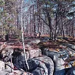 Дом отдыха Anesinka Черна-Вода