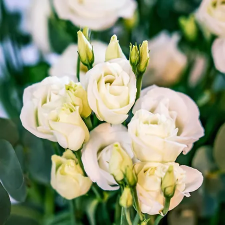 Дом отдыха Anesinka *