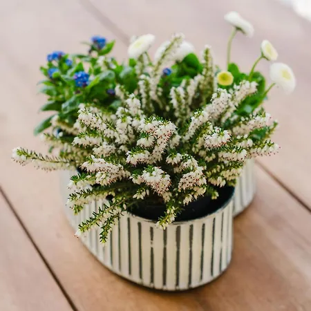 Anesinka Дом отдыха *