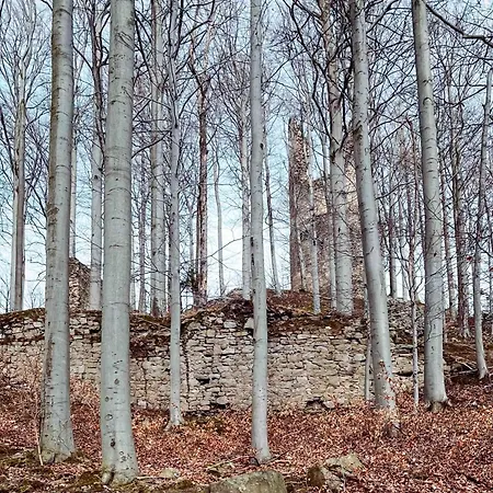Anesinka *