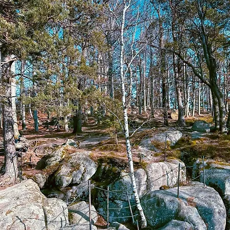 Vakantiehuis Anesinka