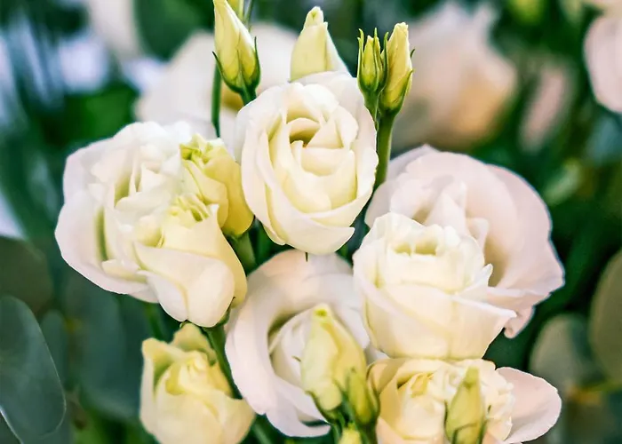 Σπίτι διακοπών Anesinka *