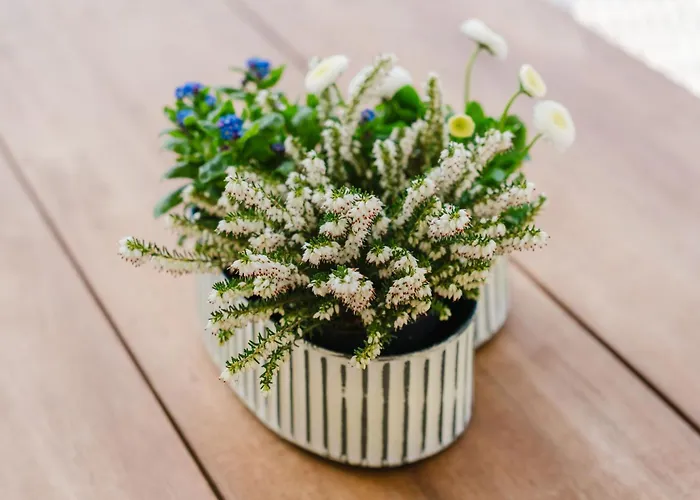 Anesinka Σπίτι διακοπών *