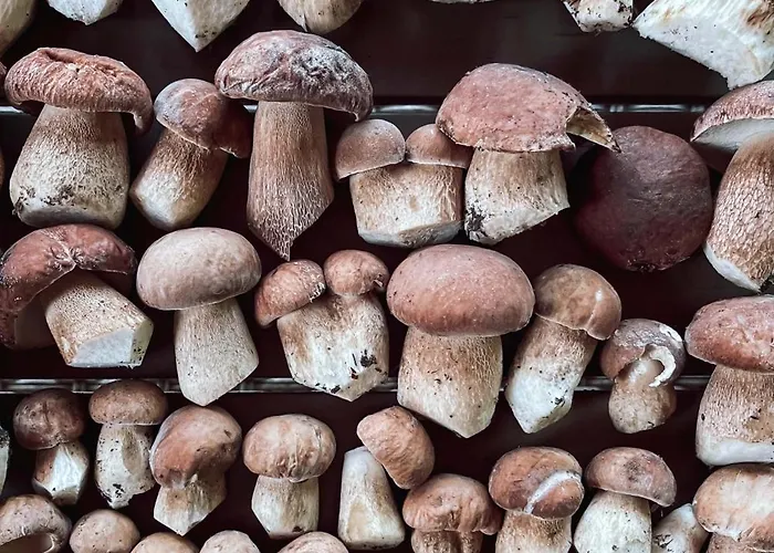 Σπίτι διακοπών Anesinka *