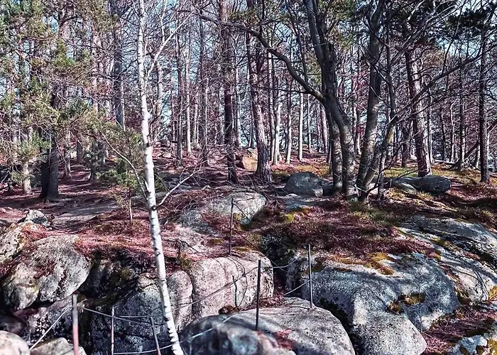 Σπίτι διακοπών Anesinka Černá Voda