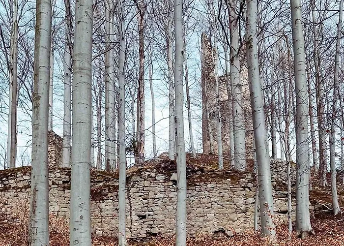 Anesinka *