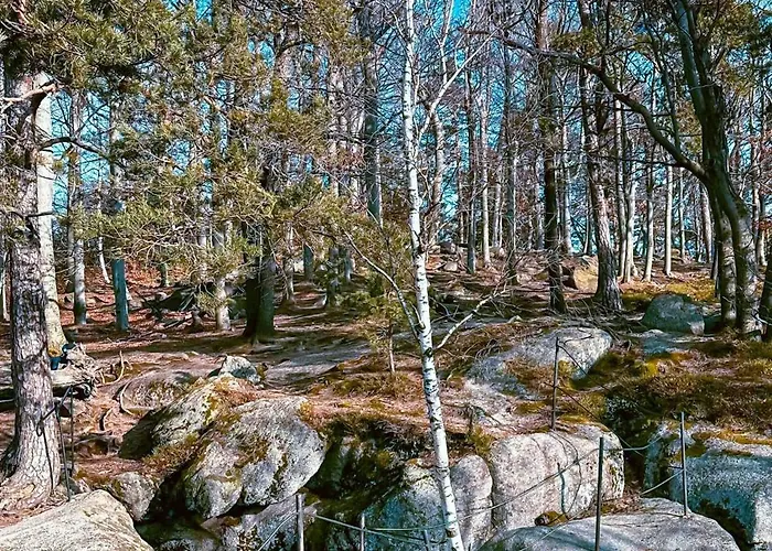 Σπίτι διακοπών Anesinka